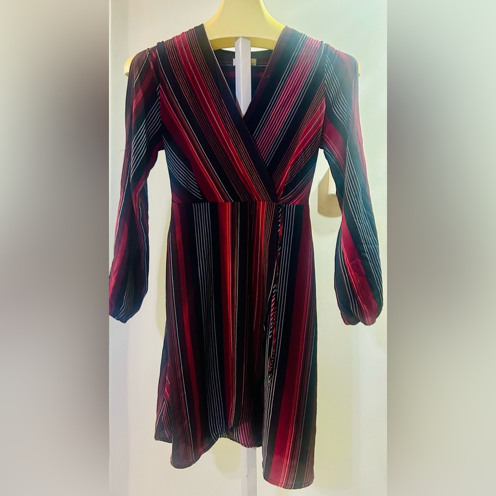 Monteau striped dress (Dar)